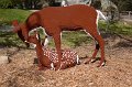 Kids_DFWzoo_3-2016 (39)